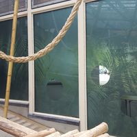 zandstraalfoliesopramen van Zoo Antwerpen, vakkundige plaatsing van zandstraalfolies in Antwerpen door Media Noord Raamfolies