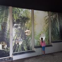zandstraalfolies op ramen Zoo Antwerpen digitaal geprint door Media Noord Raamfolies uit Hoogstraten